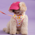 Summer Yellow Dog Harness (Small Breeds)