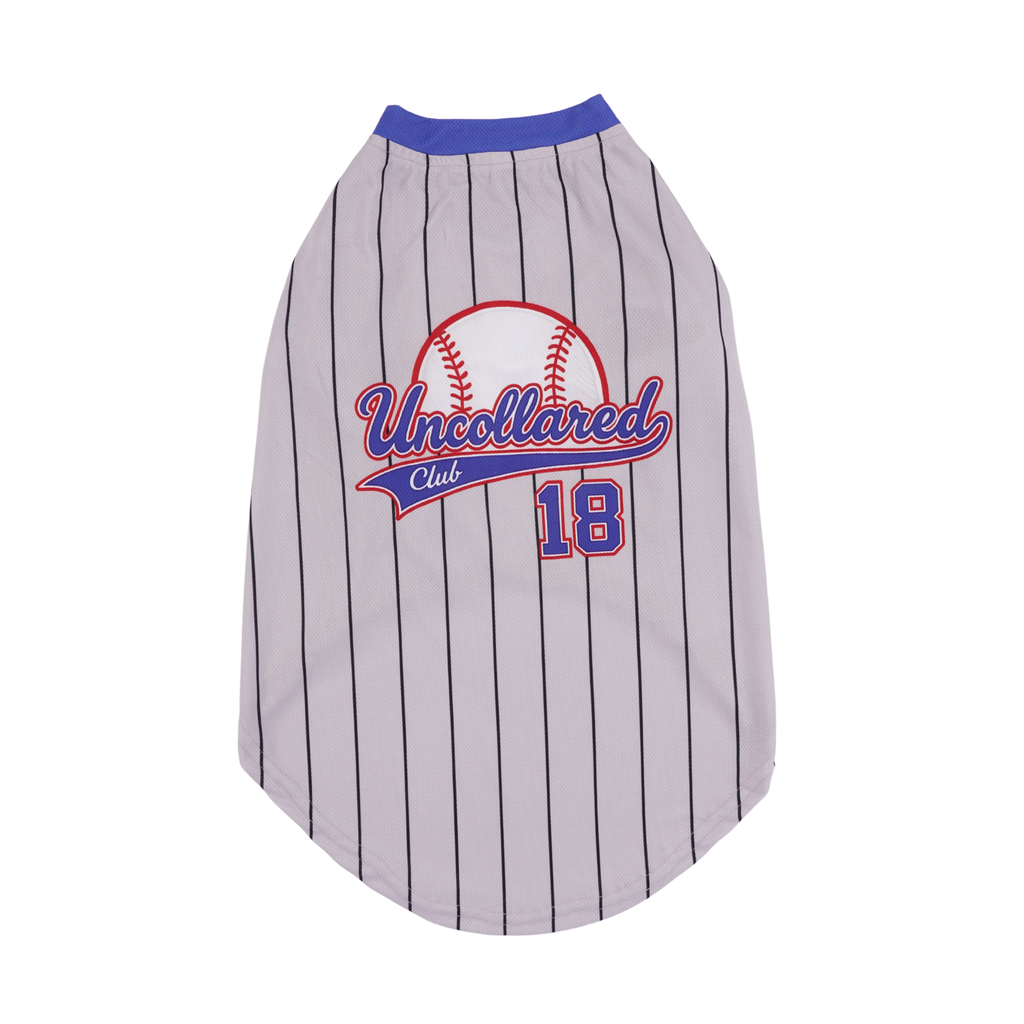 Signature Dog Blue Baseball Jersey