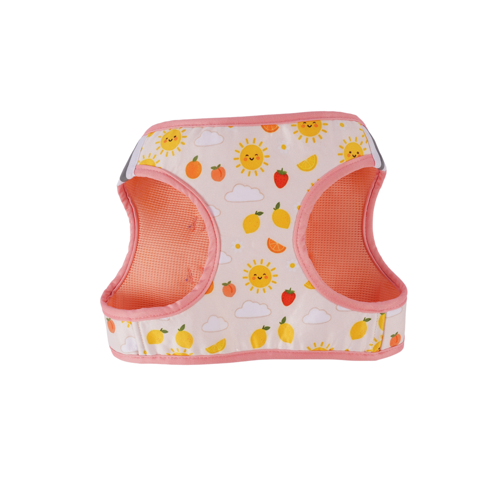 Summer Yellow Dog Harness (Small Breeds)