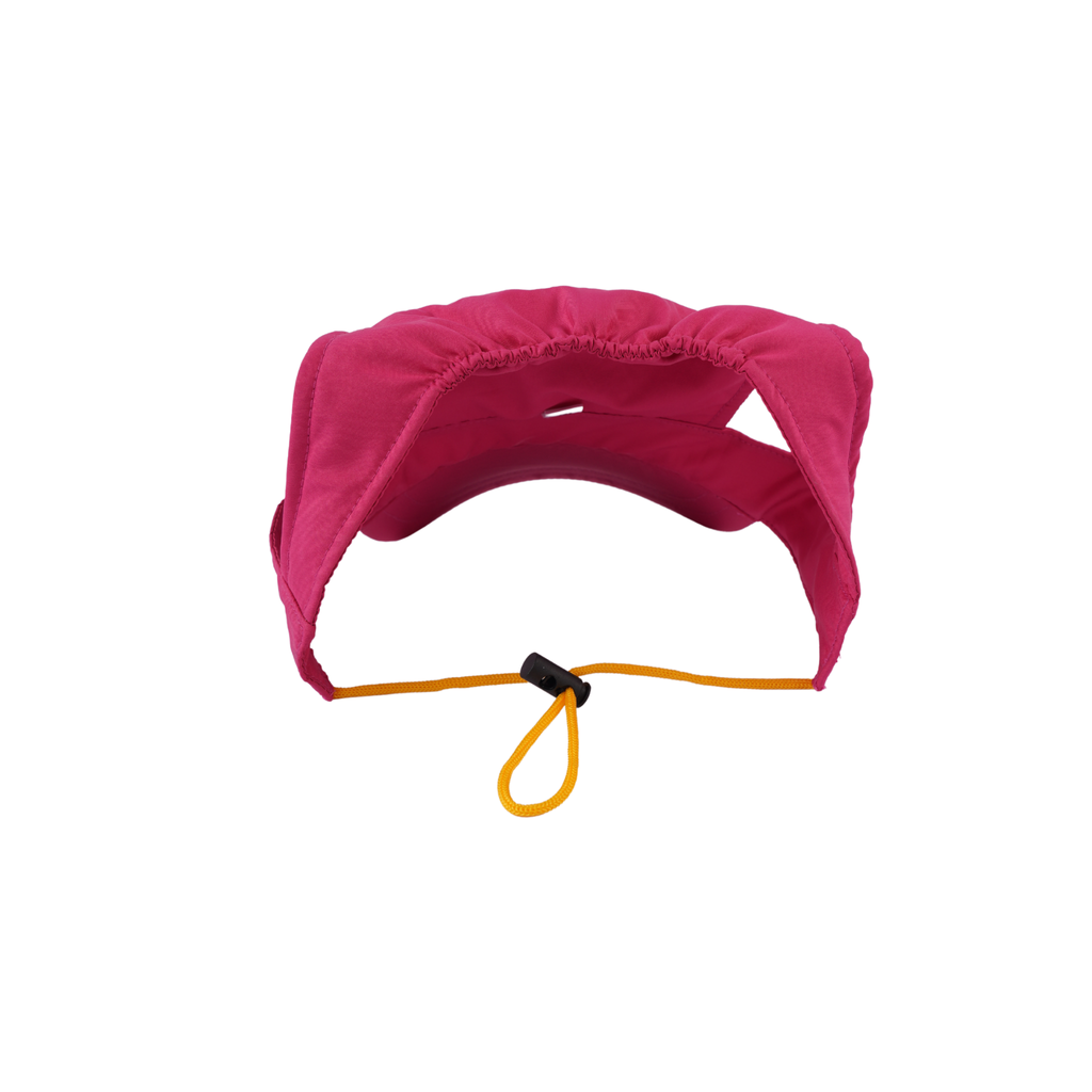 Drama Diva Dog Cap
