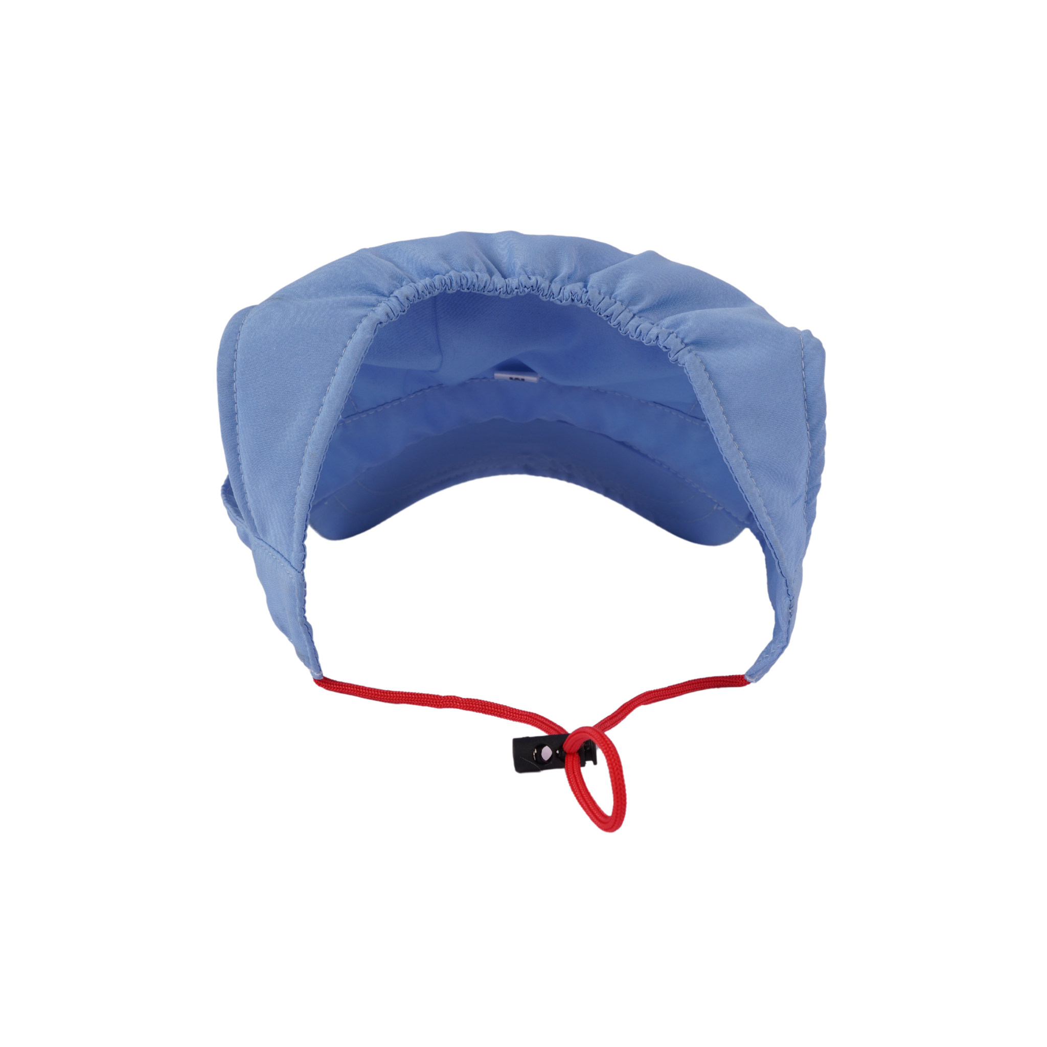 Beach Blue Dog Cap