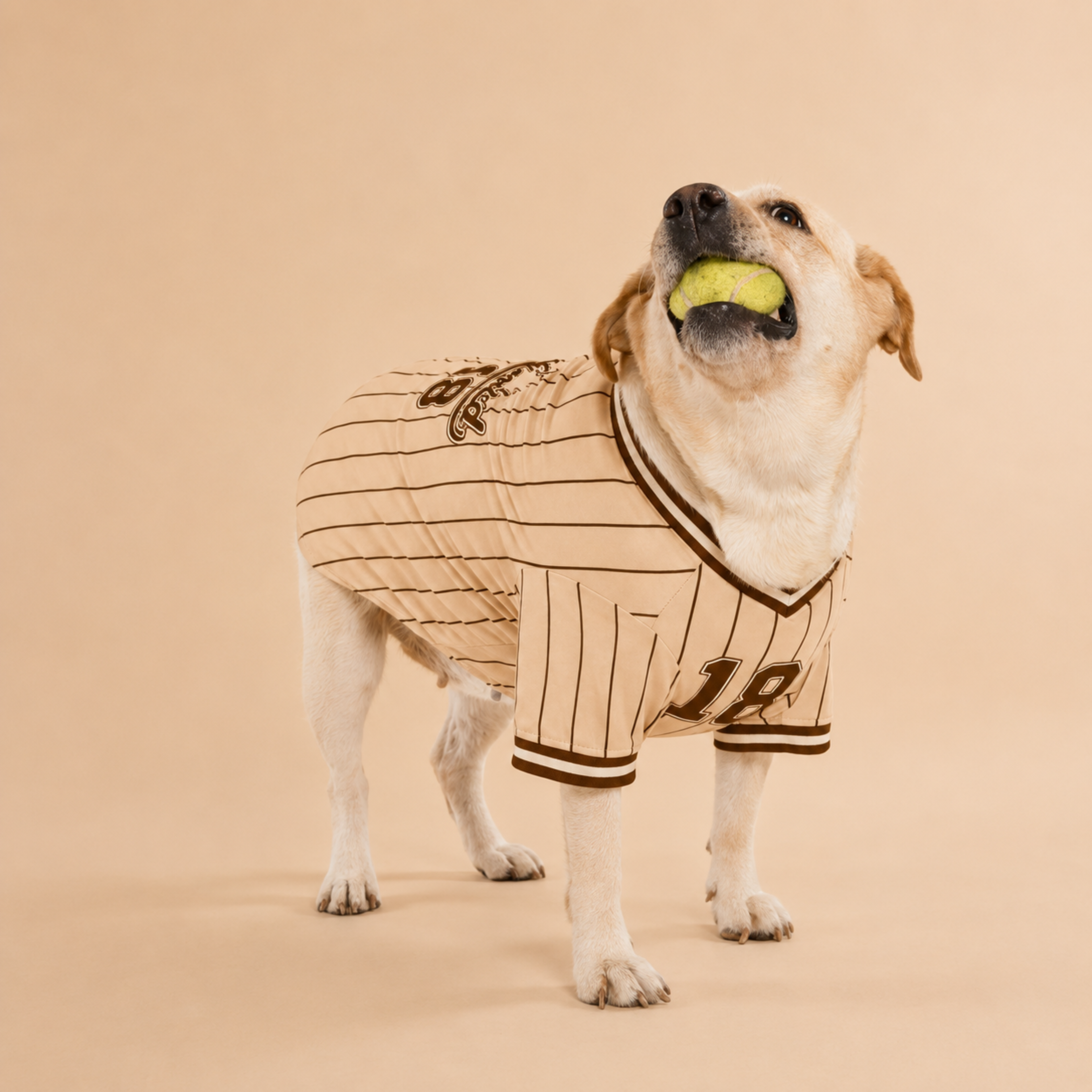 Signature Dog Brown Baseball Jersey
