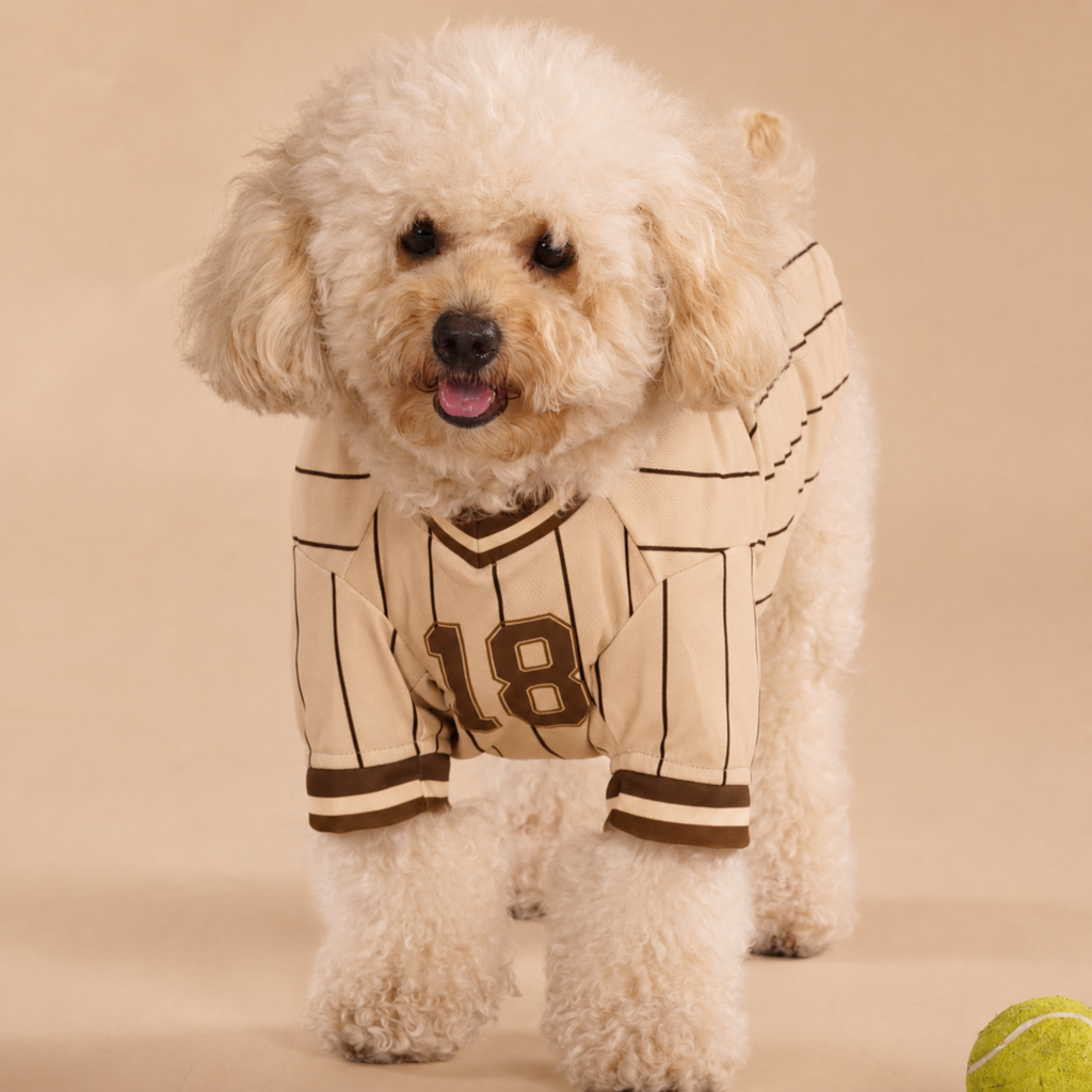 Signature Dog Brown Baseball Jersey