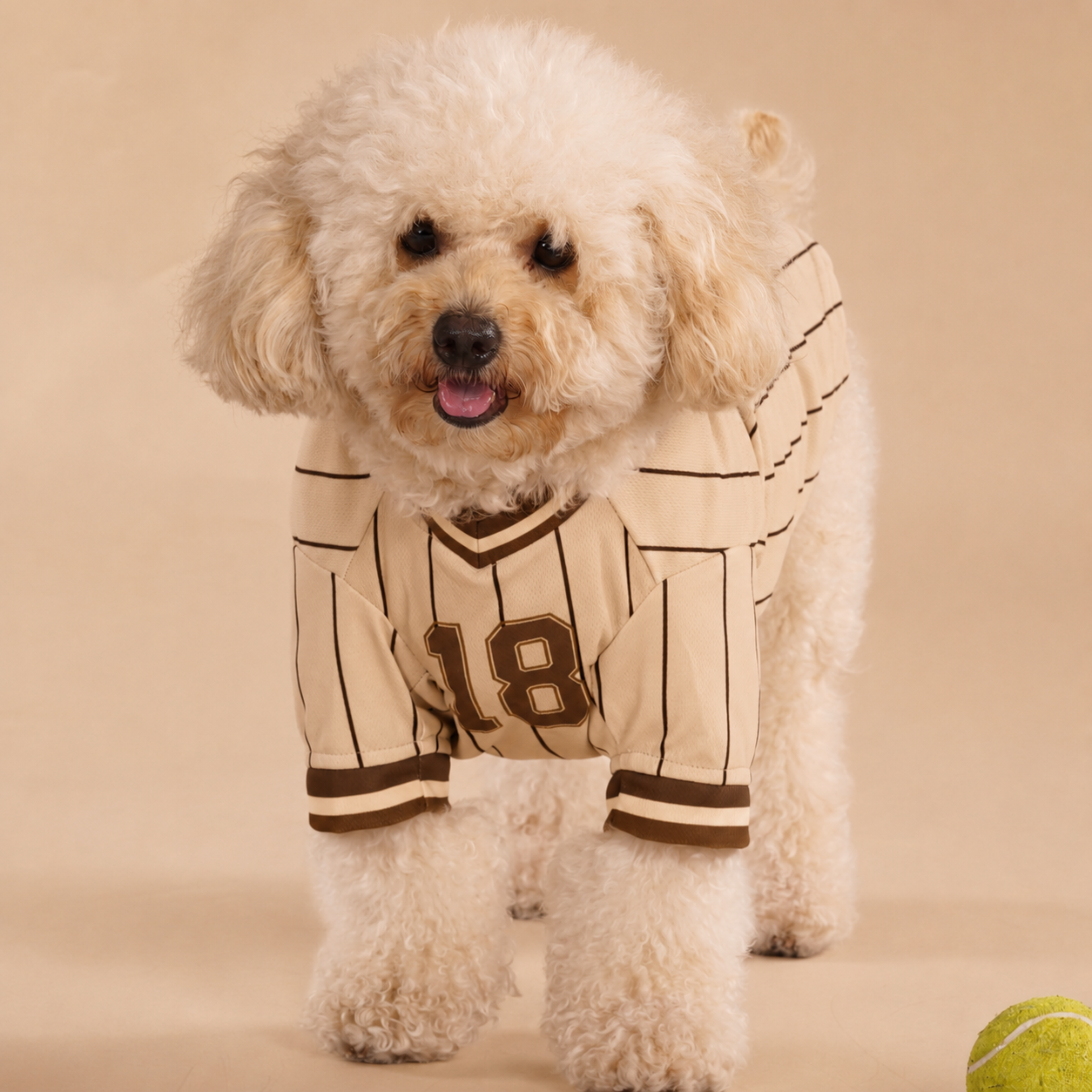 Signature Dog Brown Baseball Jersey