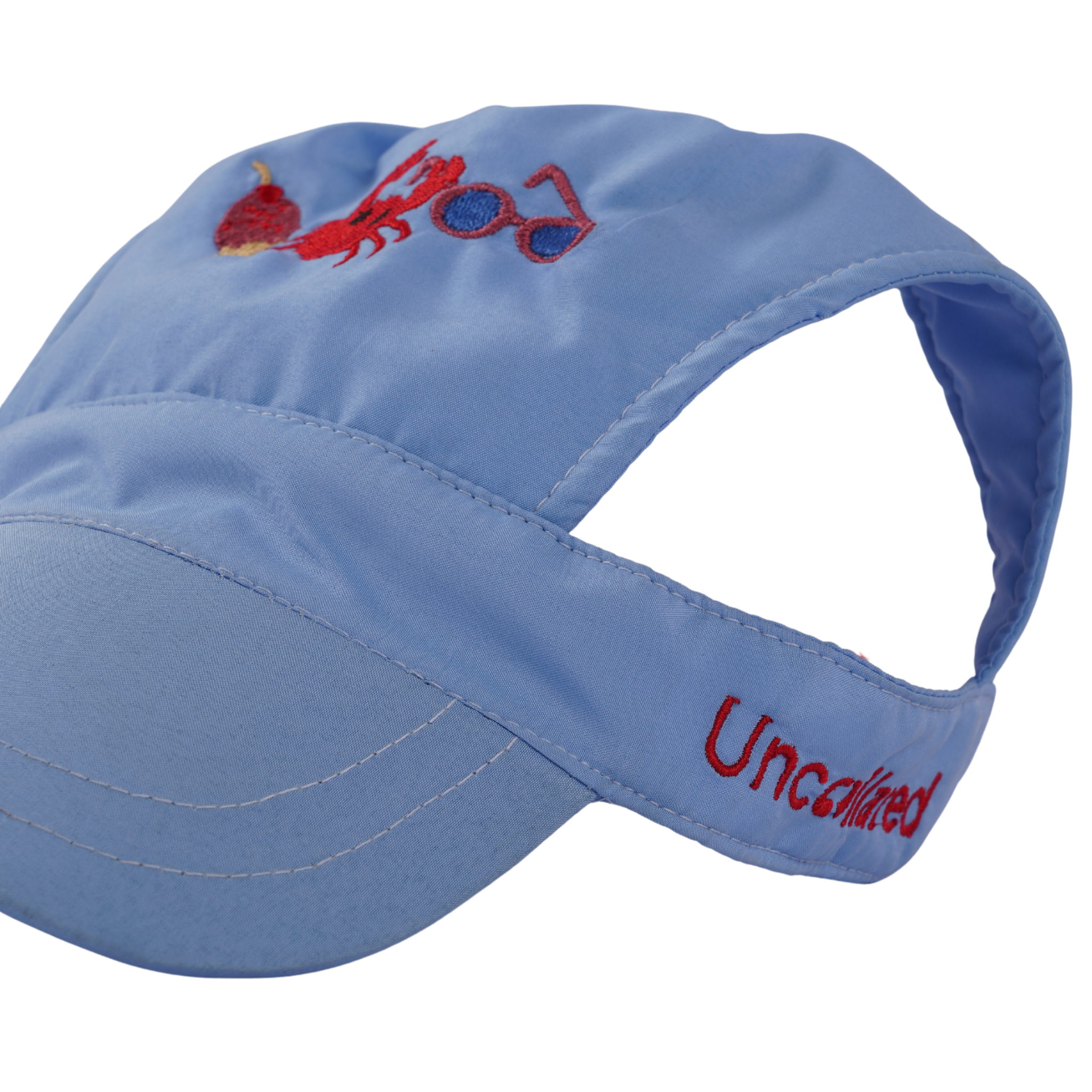 Beach Blue Dog Cap
