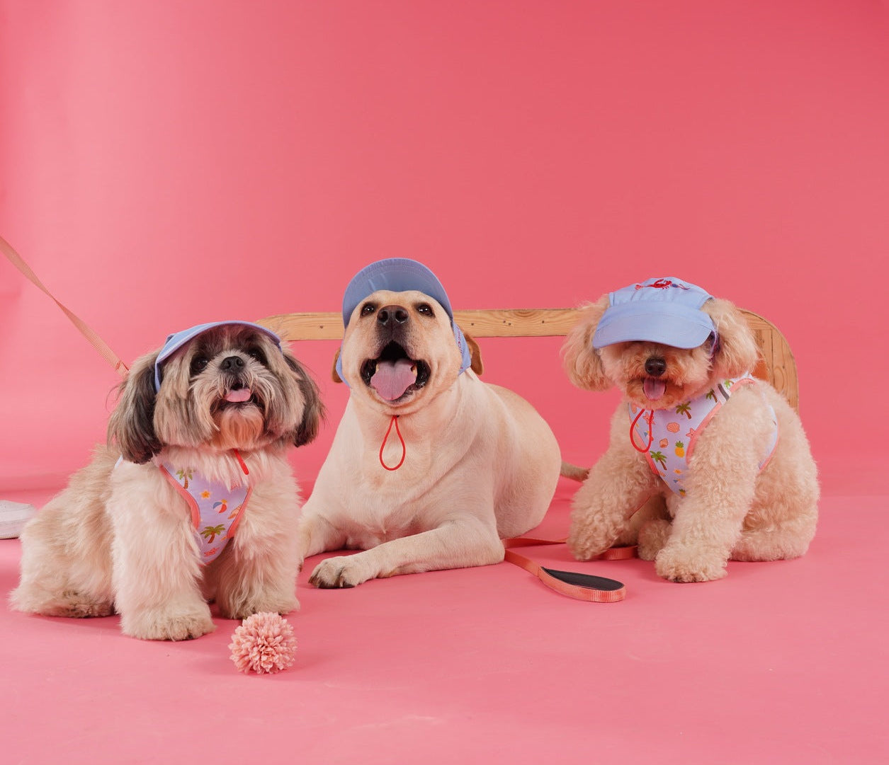 Beach Blue Dog Cap