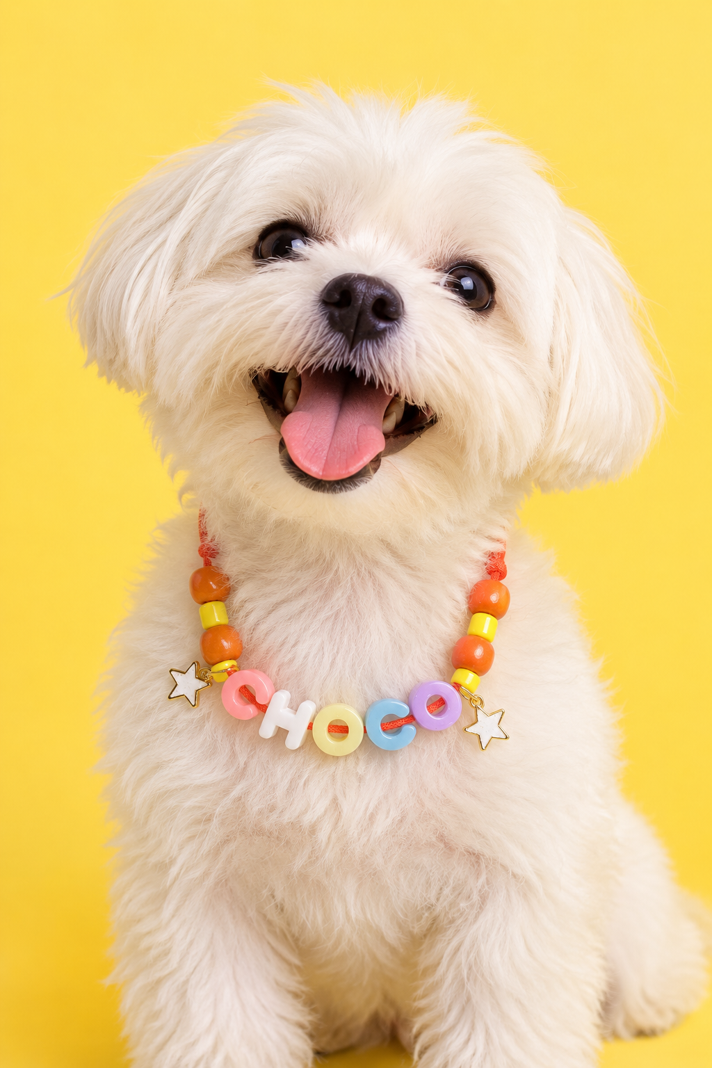 Uncollar Pet Necklace