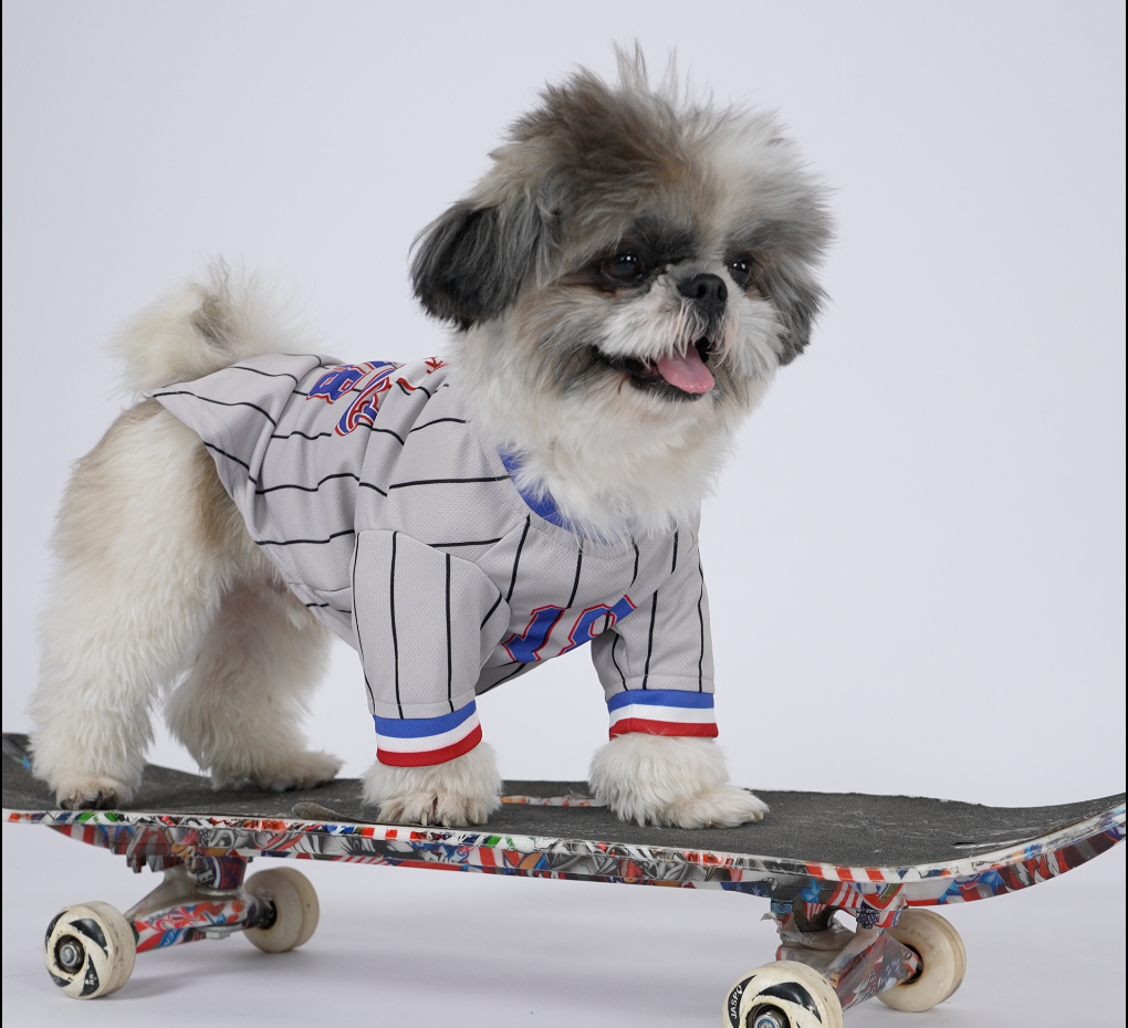 Signature Dog Blue Baseball Jersey