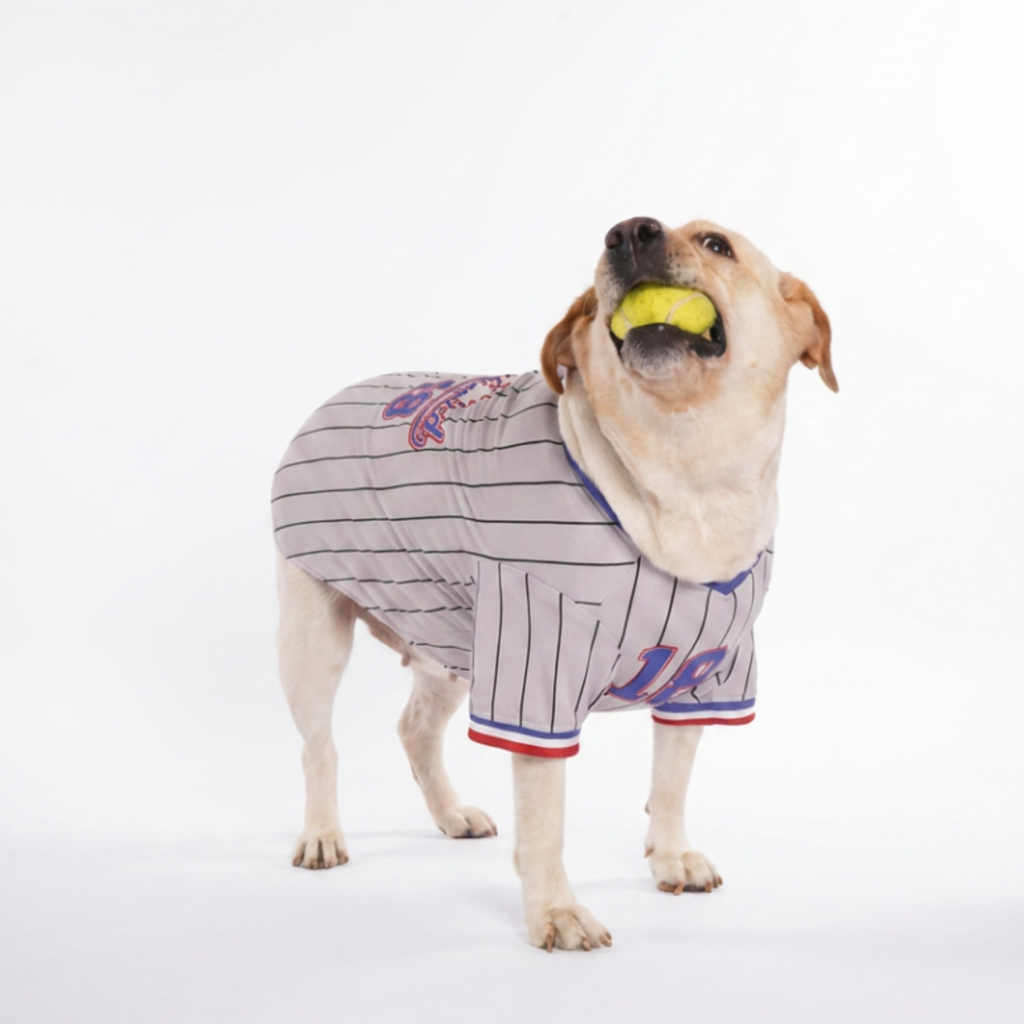 Signature Dog Blue Baseball Jersey
