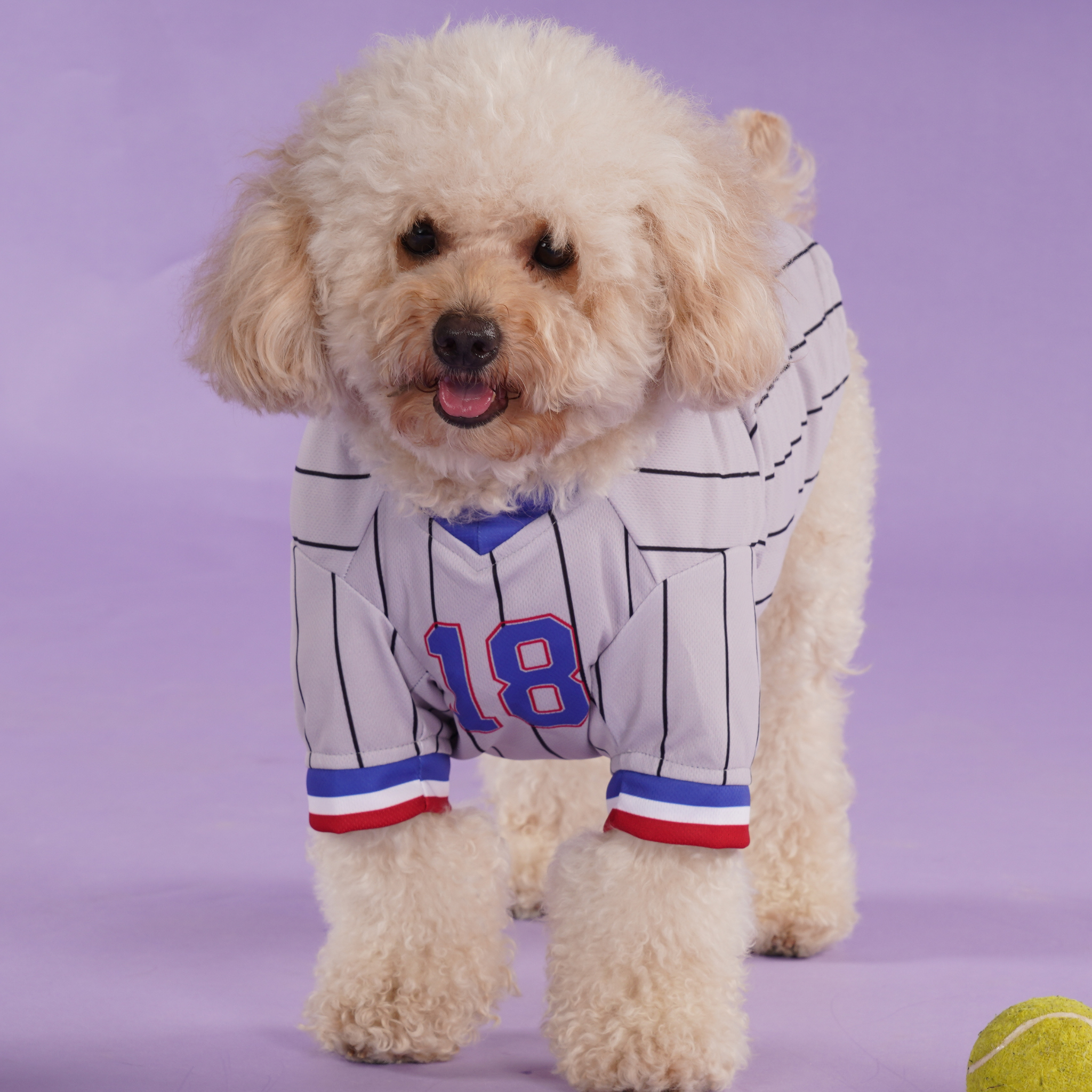 Signature Dog Blue Baseball Jersey