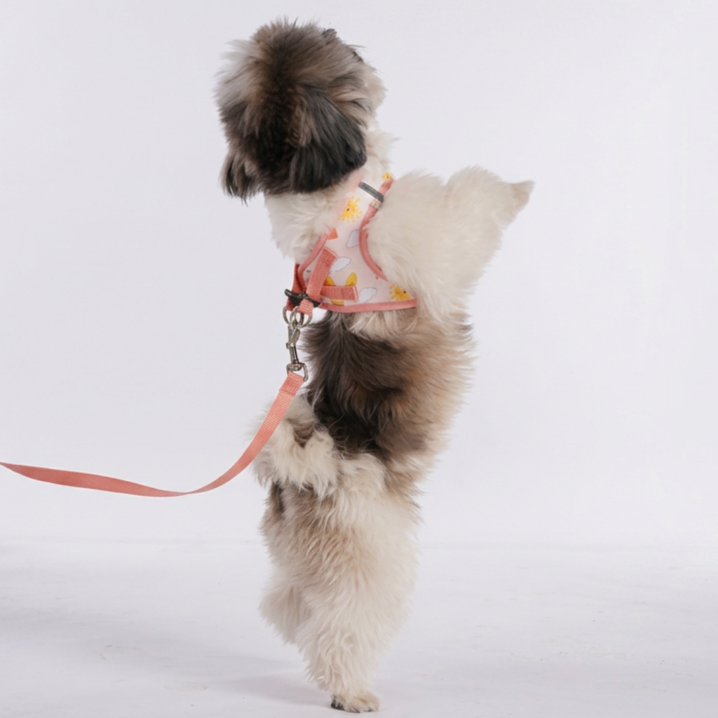 Summer Yellow Dog Harness (Small Breeds)