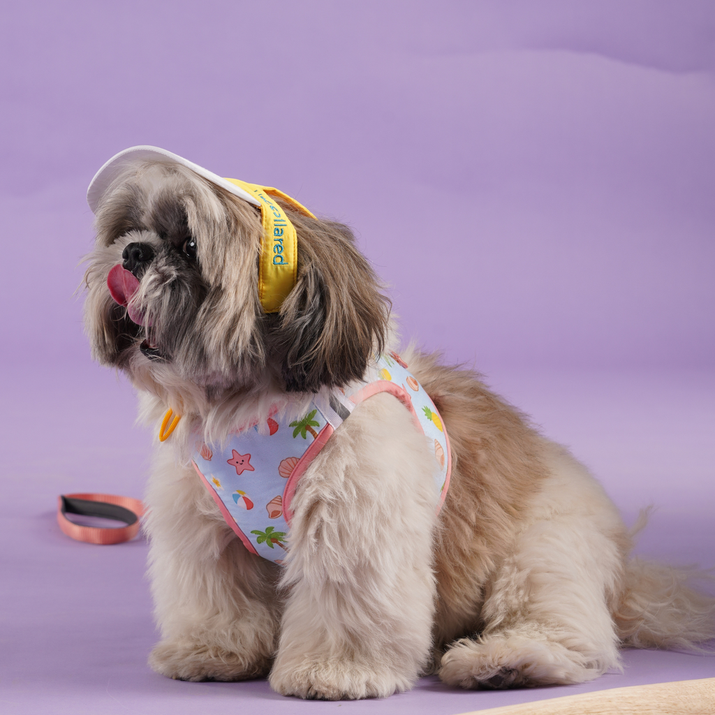 Beach Blue Dog Harness (Small Breeds)