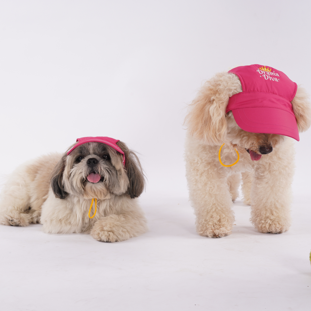Drama Diva Dog Cap