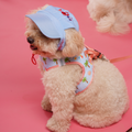 Beach Blue Dog Cap