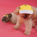 Summer Yellow Dog Cap