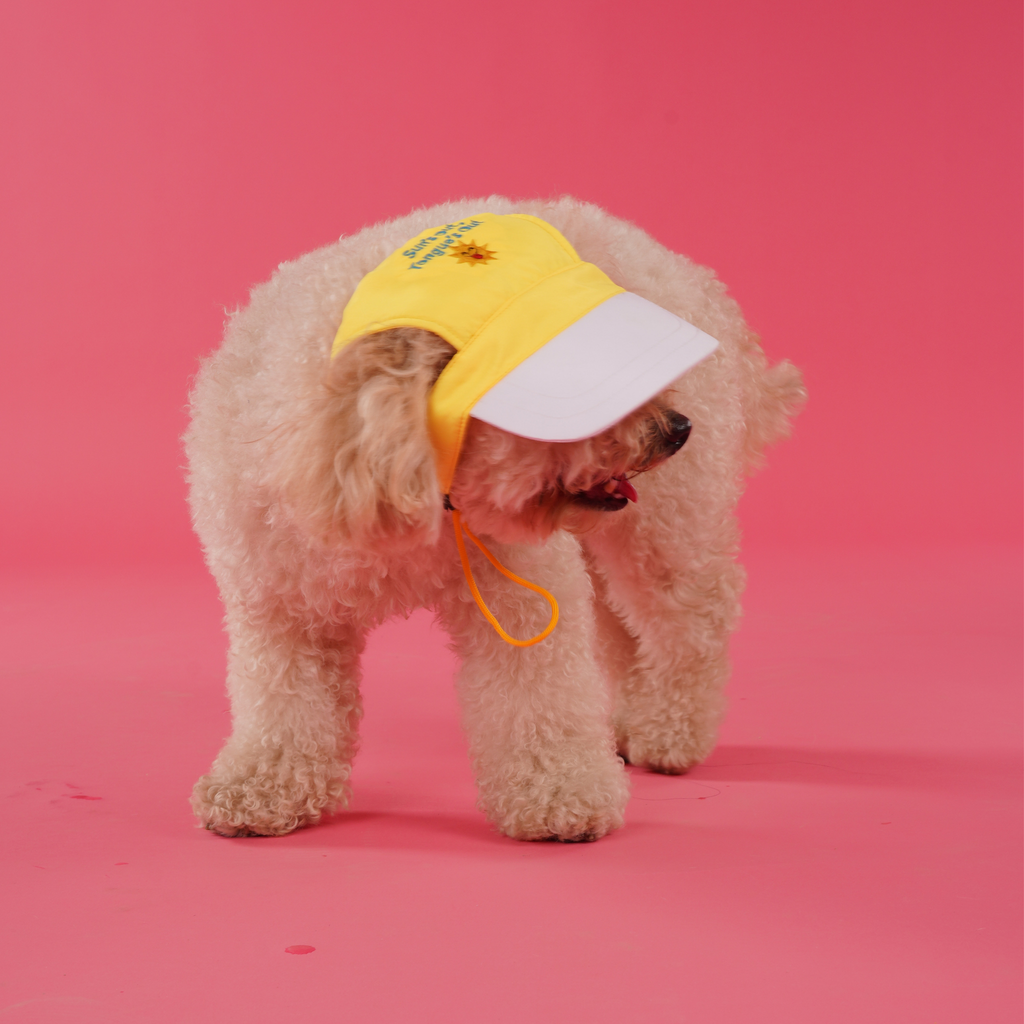 Summer Yellow Dog Cap