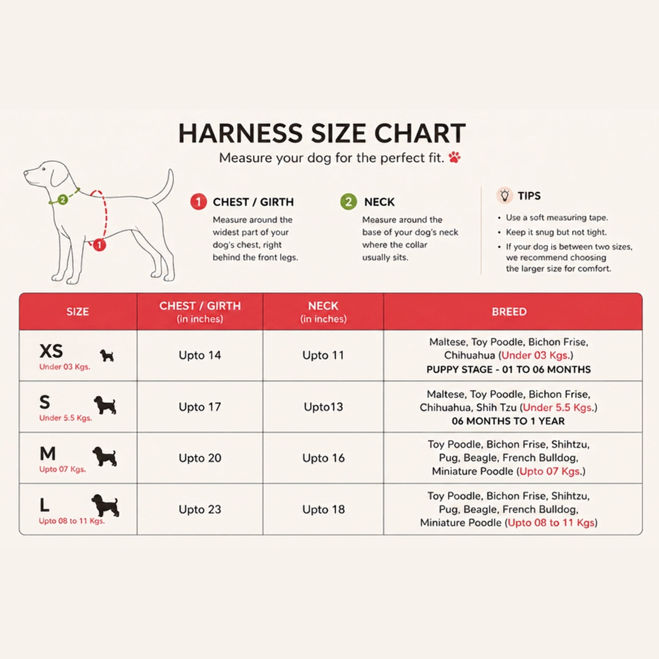 Size guide