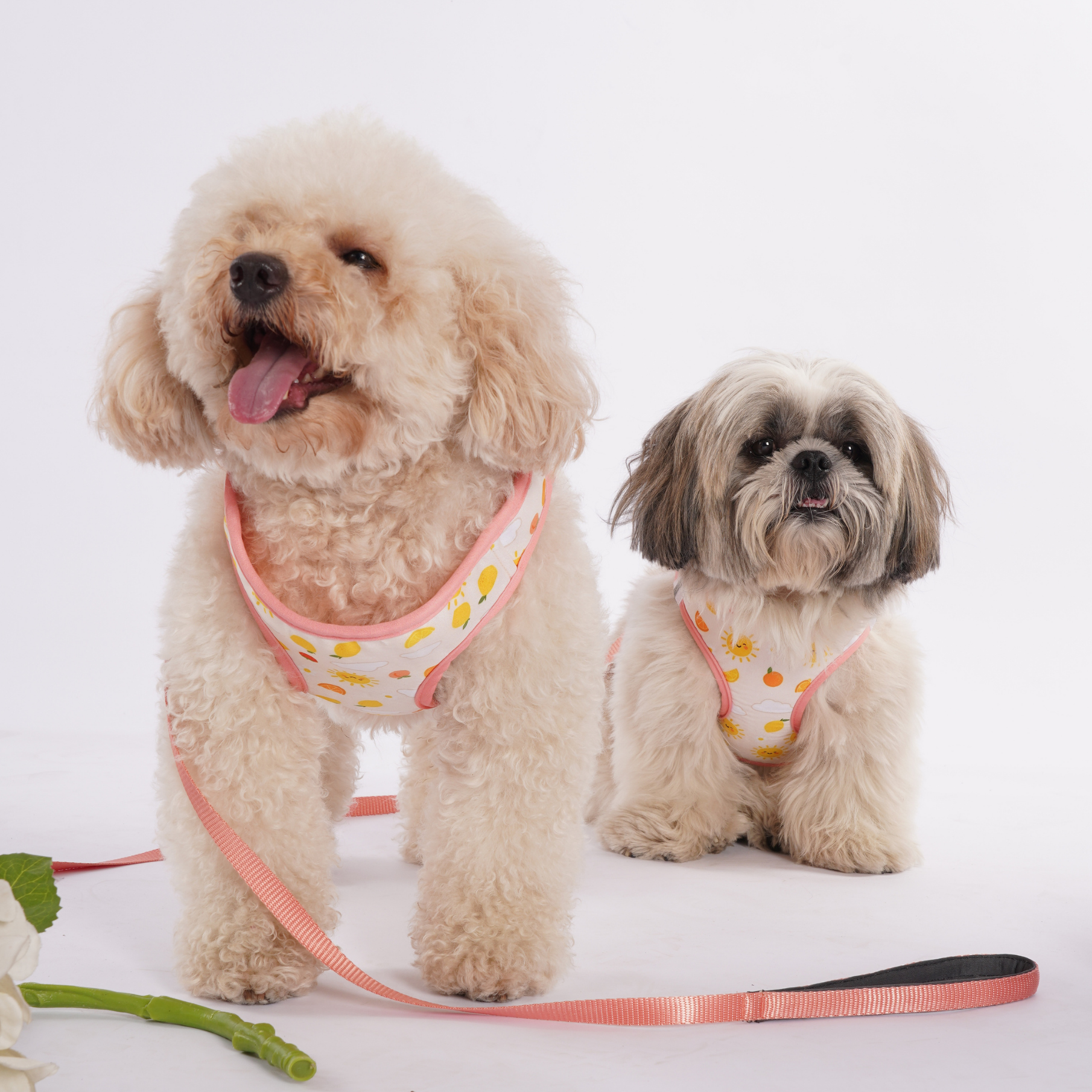 Summer Yellow Dog Harness (Small Breeds)