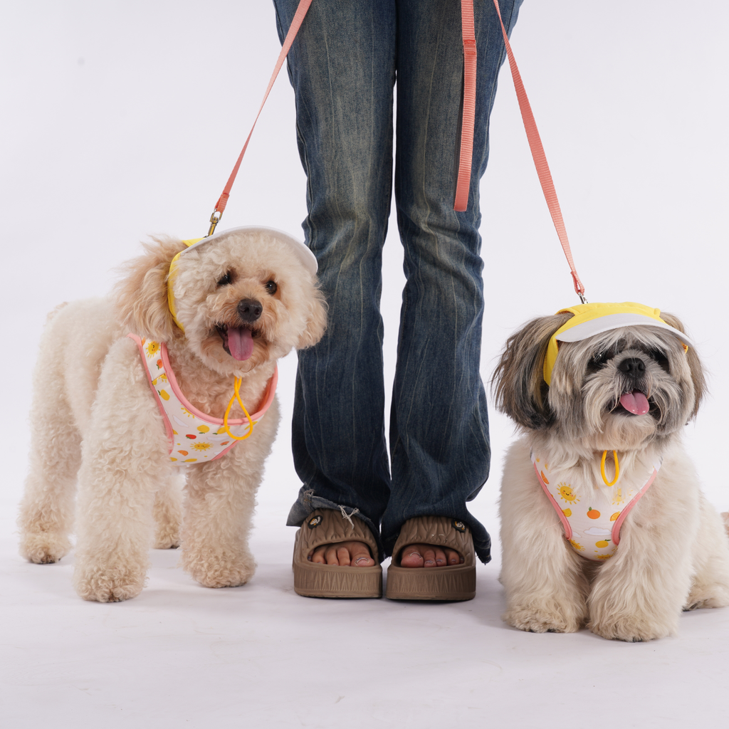Summer Yellow Dog Harness (Small Breeds)
