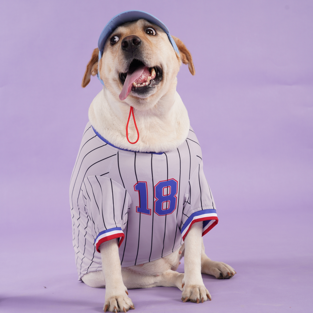 Signature Dog Blue Baseball Jersey