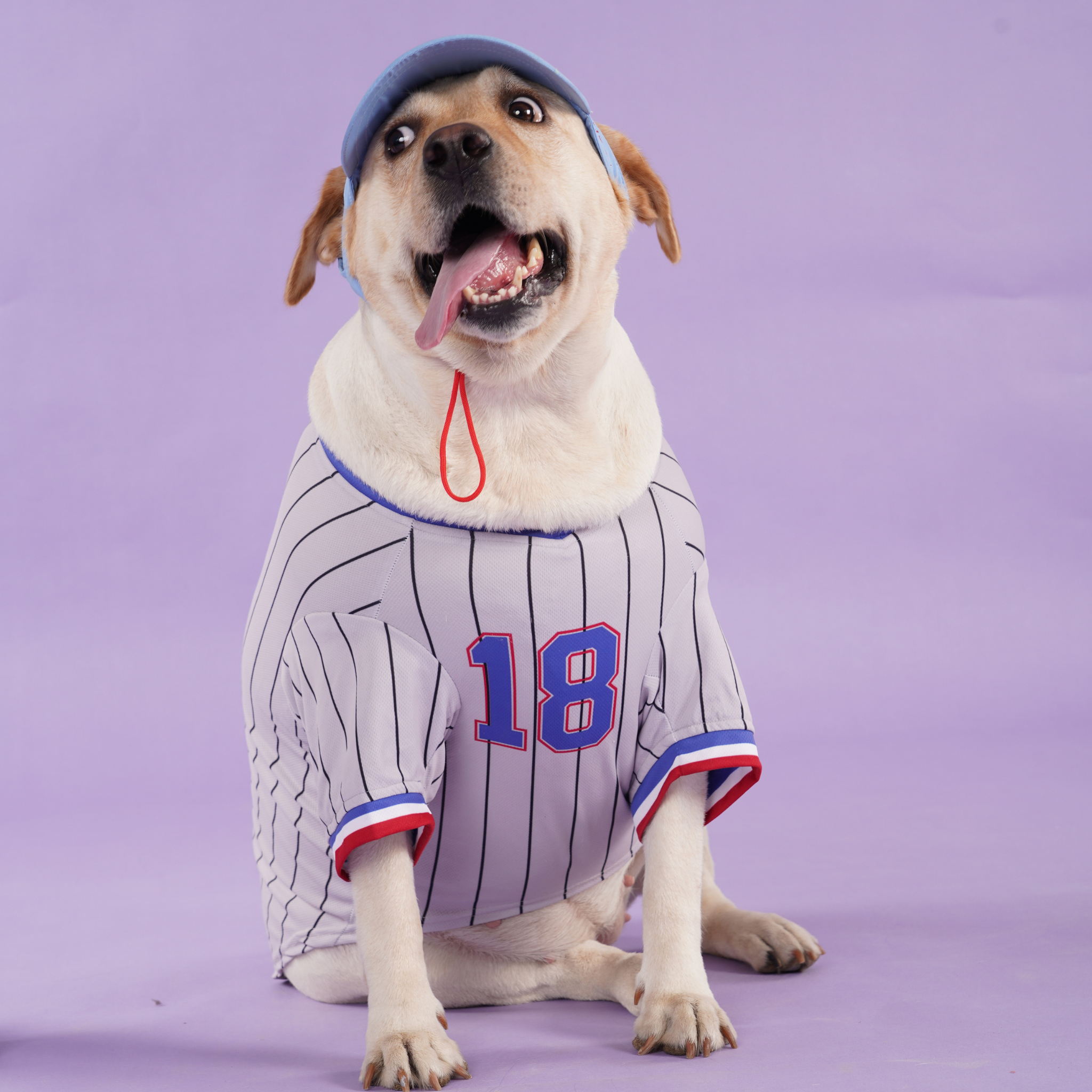 Signature Dog Blue Baseball Jersey